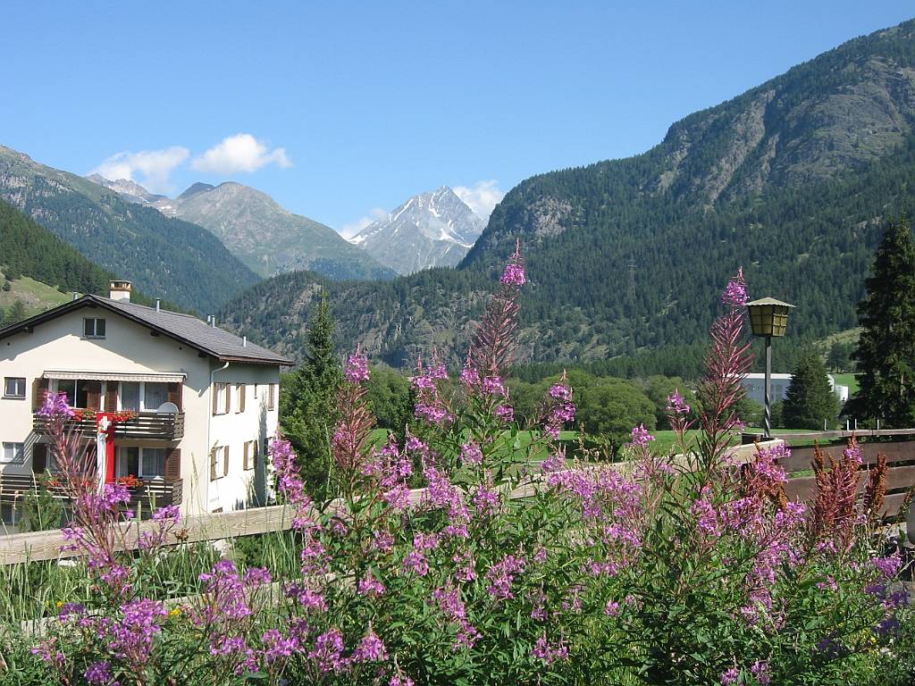 59 Zernez_02-08-2009.JPG